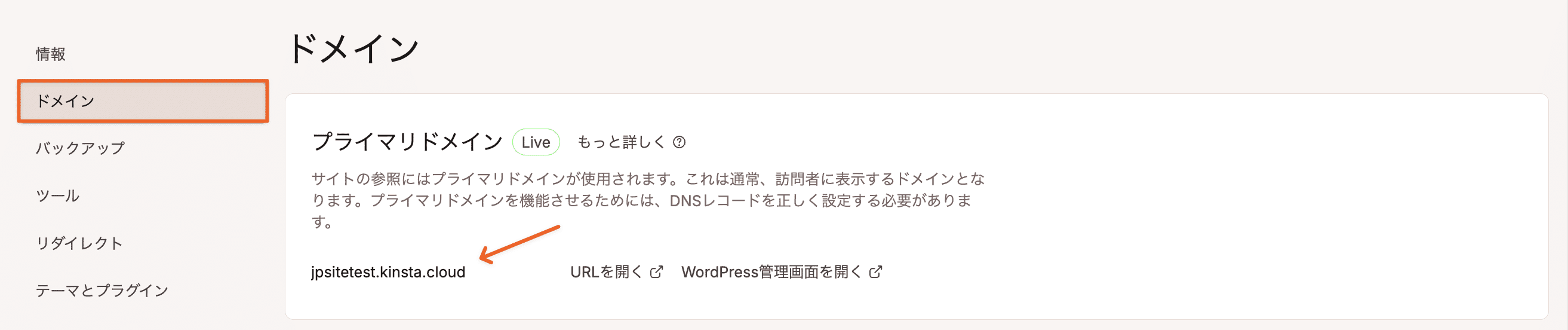 Kinstaの一時URL