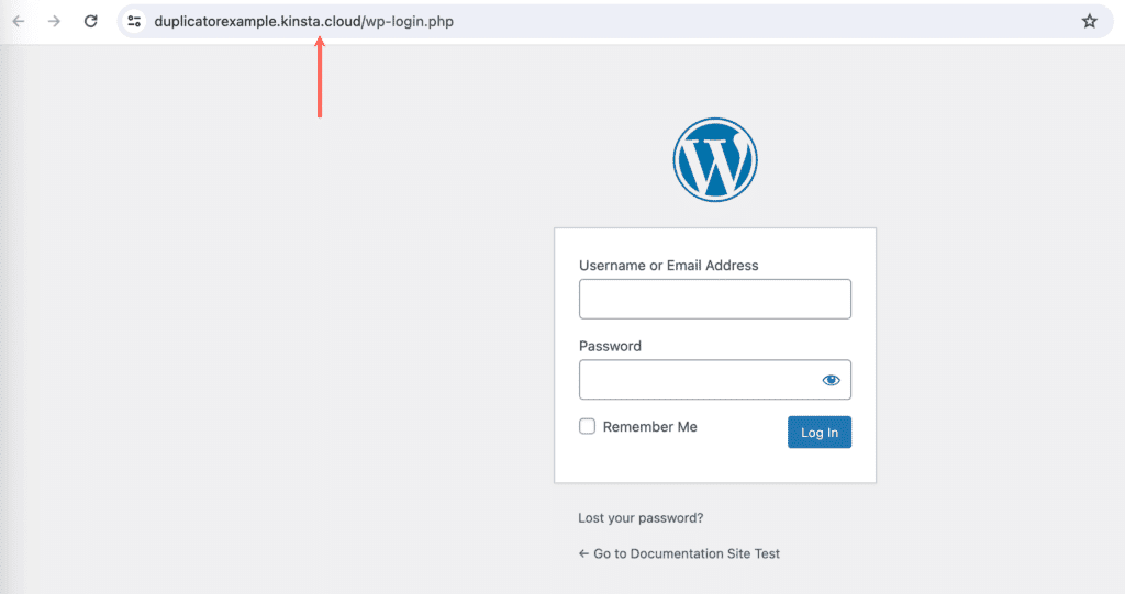 Kinsta一時URLへのログイン