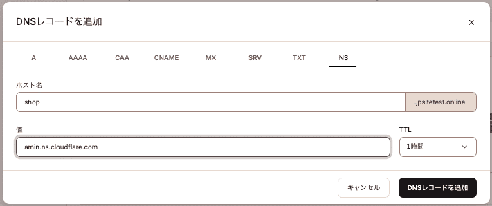 MyKinstaのDNS画面でNSレコードを追加