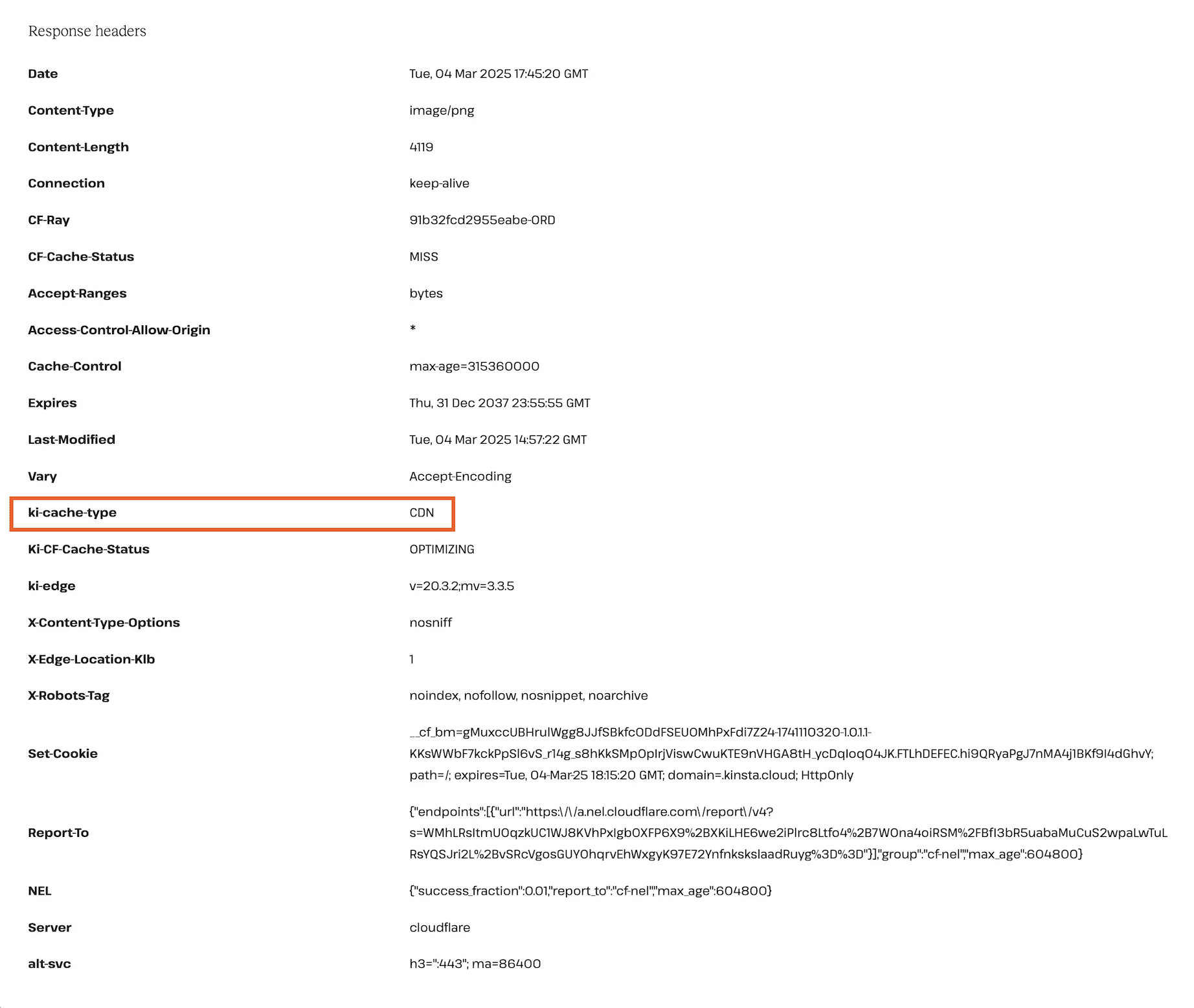 KinstaのHTTPステータス＆リダイレクトチェッカーの結果に表示されるHTTPヘッダー