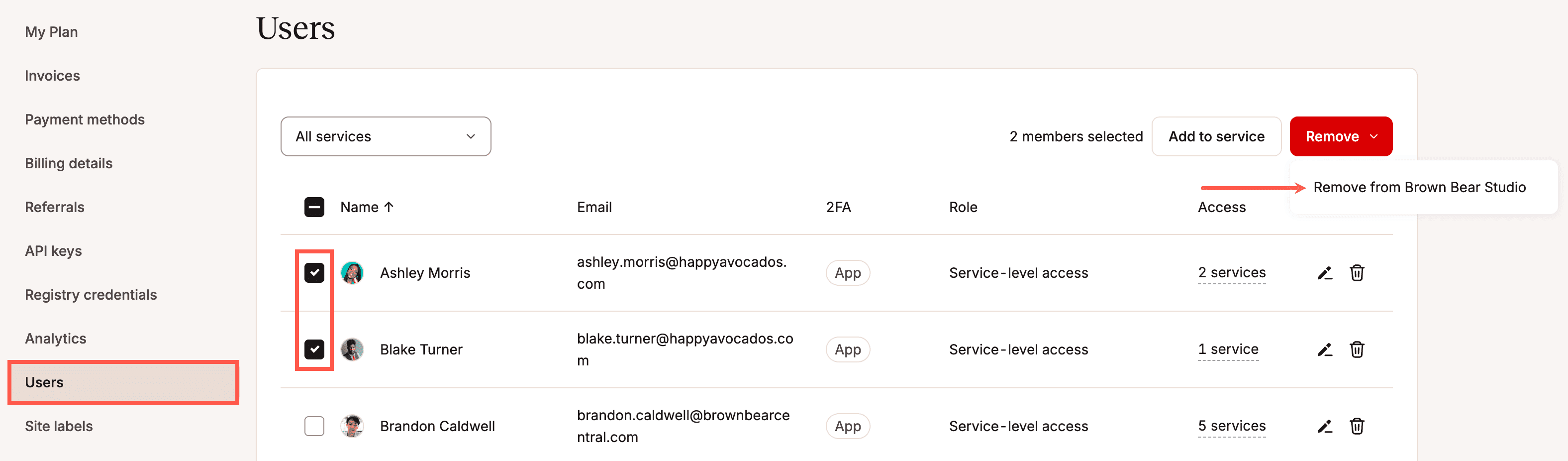 Meerdere gebruikers uit een bedrijf verwijderen in MyKinsta.