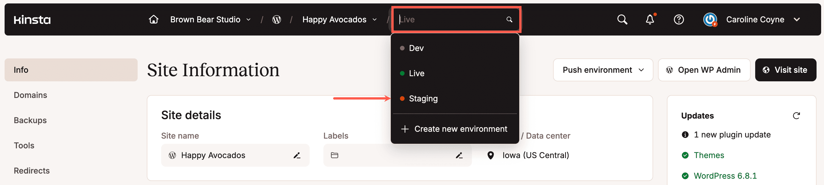 Select the staging environment.