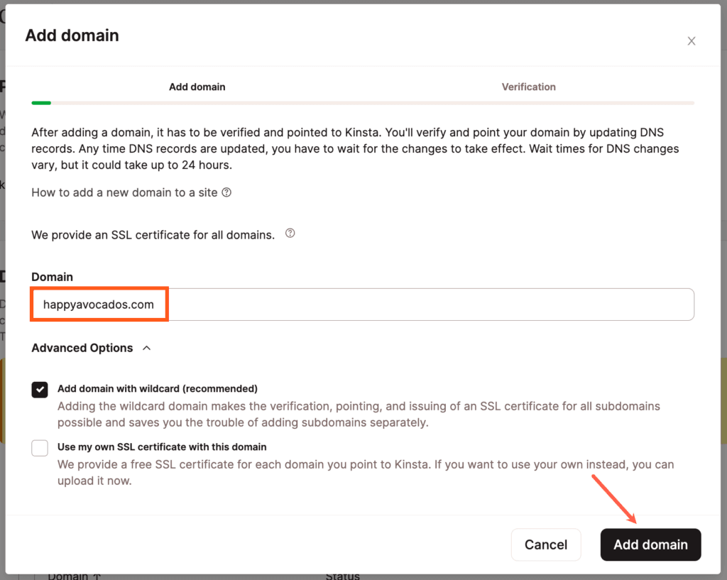 Add your custom domain in MyKinsta.