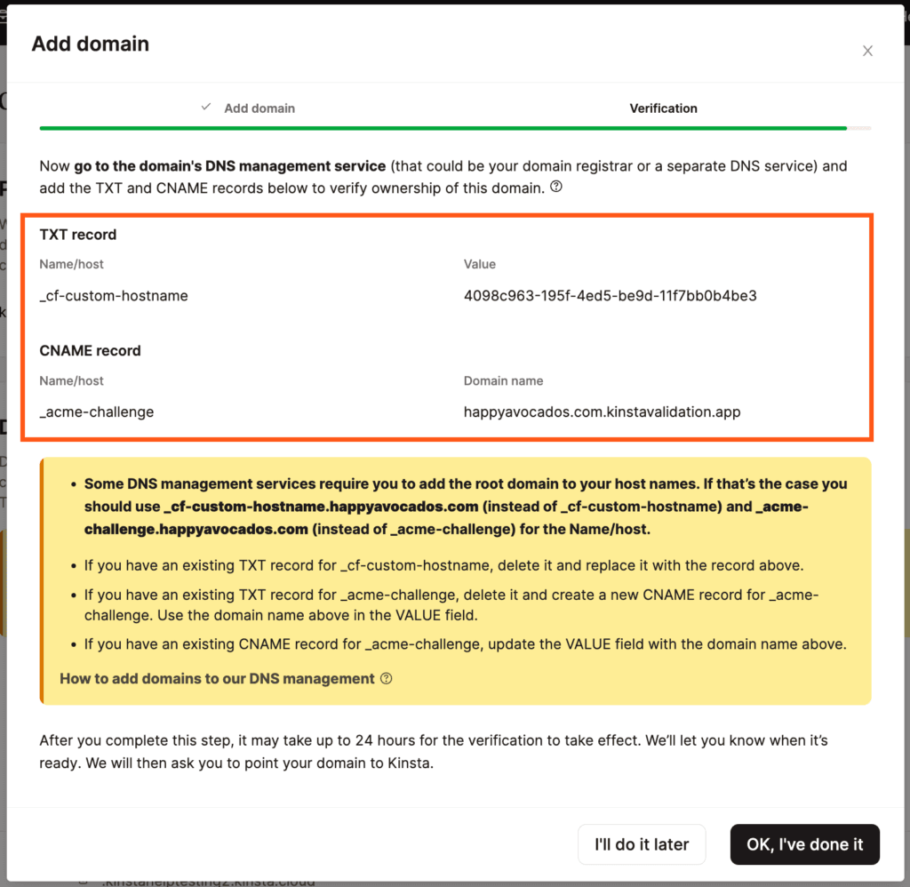 Record DNS in MyKinsta per verificare il dominio.