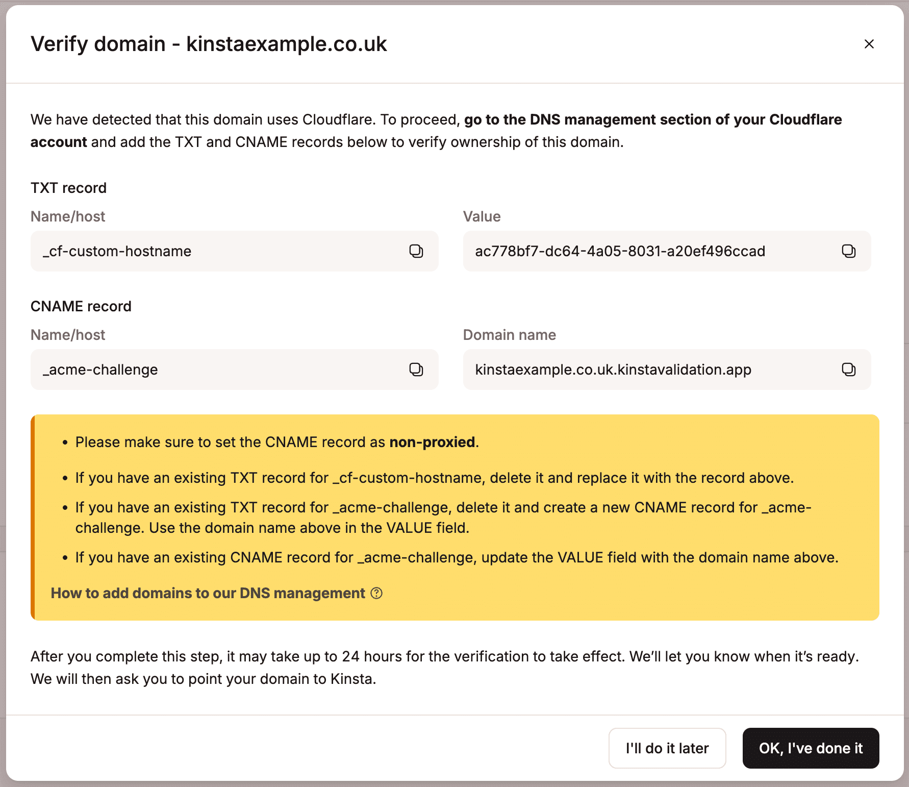 Seconda serie di record DNS in MyKinsta per verificare il dominio Cloudflare.