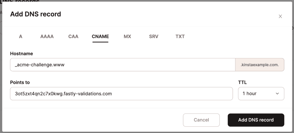 Adding your domain verification CNAME in Kinsta's DNS.