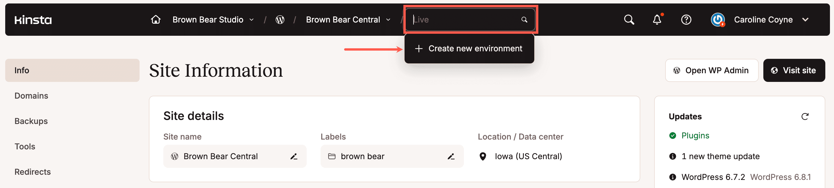 Creating a new Kinsta staging environment in MyKinsta.