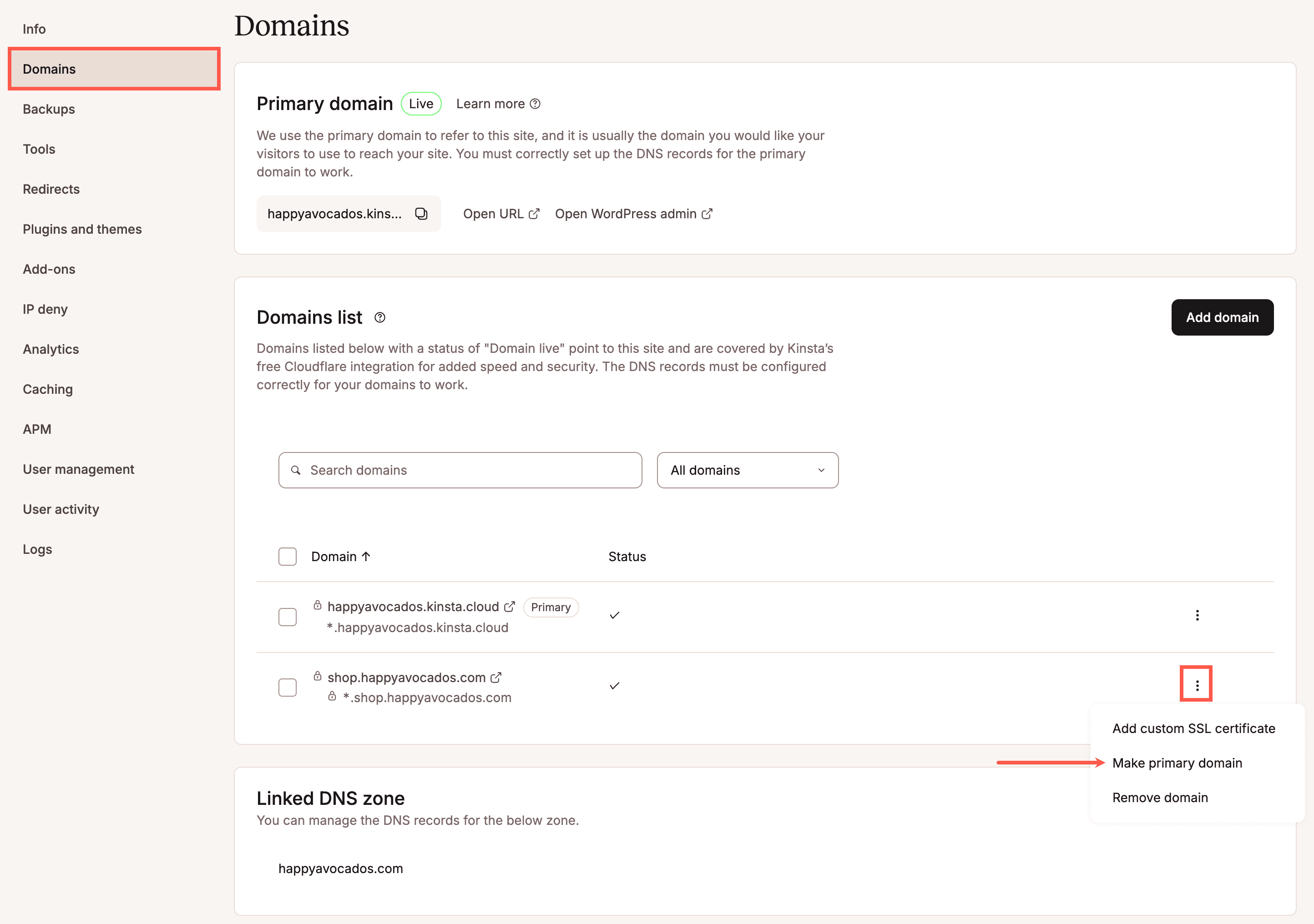 Make a domain the primary domain in MyKinsta.