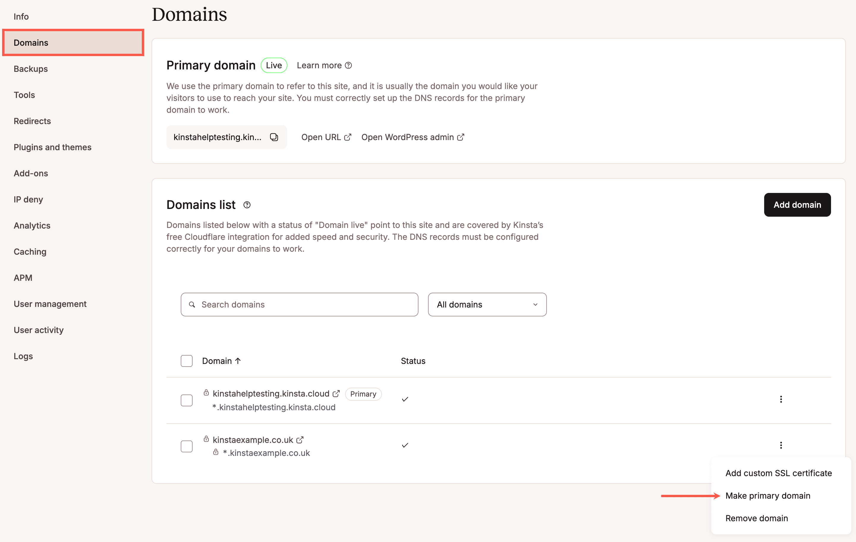 Rendere un dominio il dominio primario in MyKinsta.