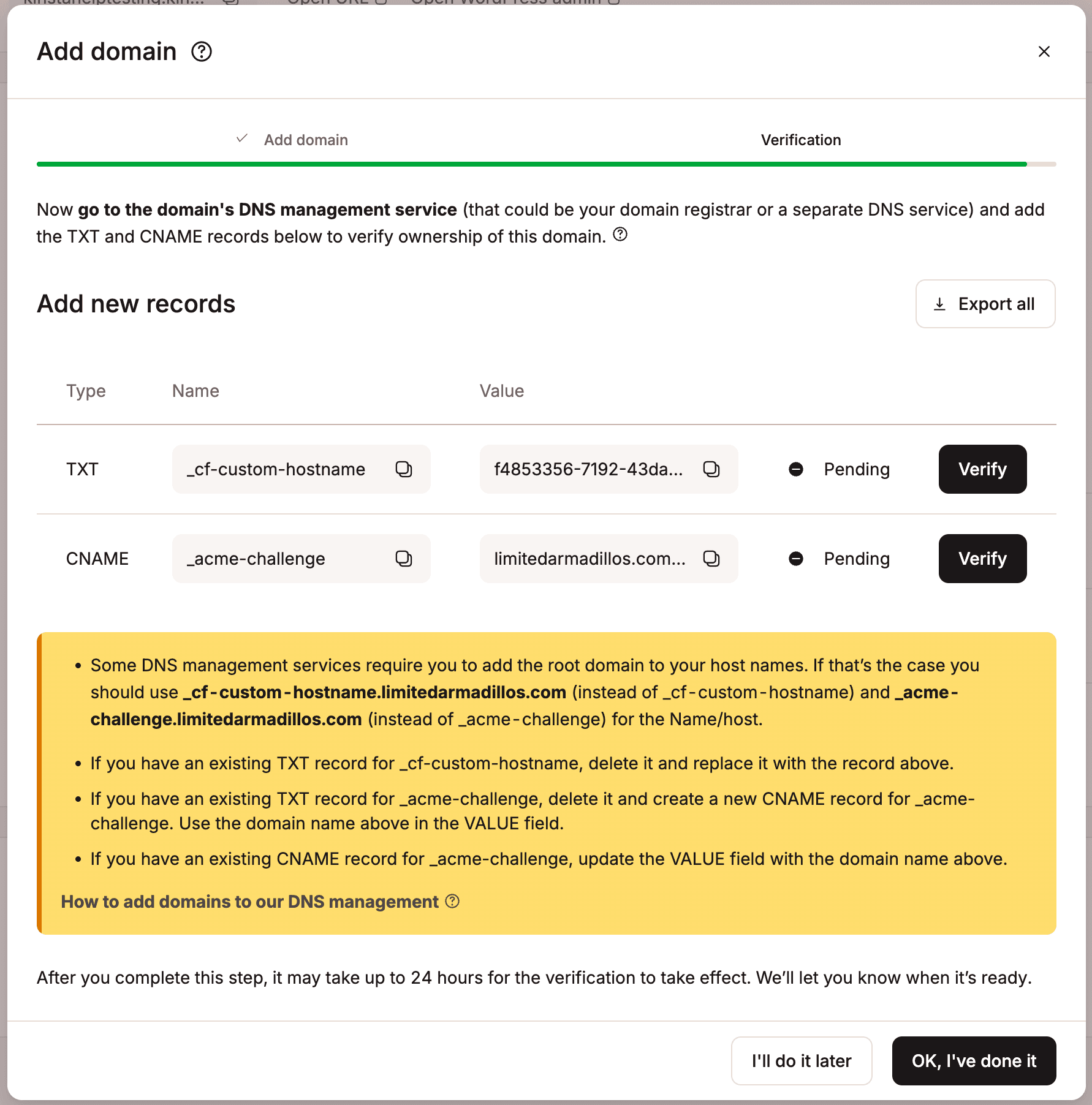 DNS records in MyKinsta to verify your domain.