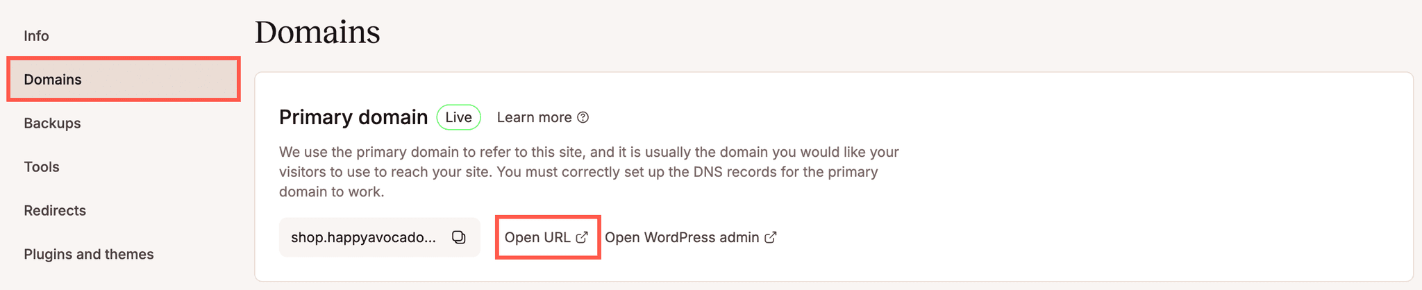 Link all'URL aperto in MyKinsta.