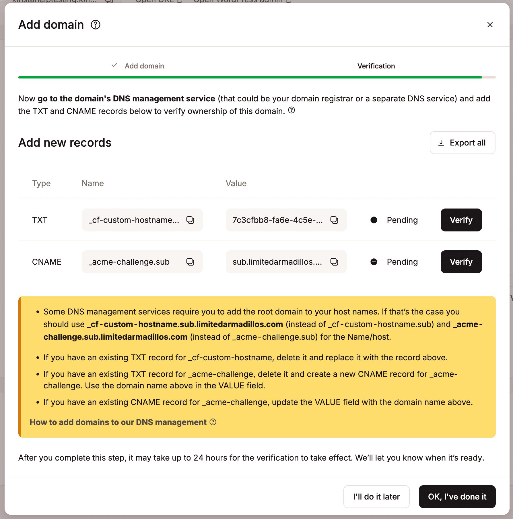 TXT records to verify your subdomain.