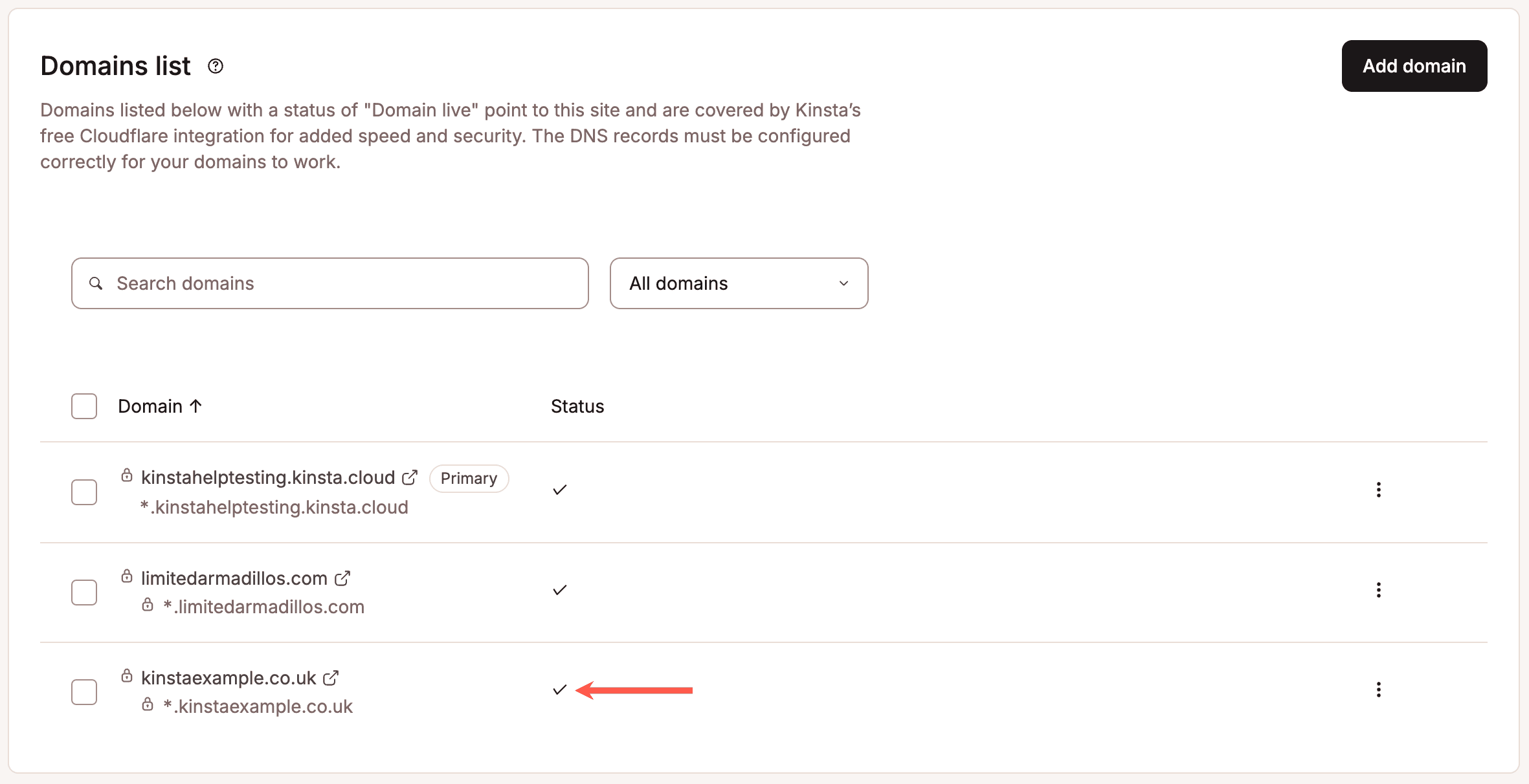 A checkmark next to your root domain in MyKinsta indicates it’s pointed correctly.