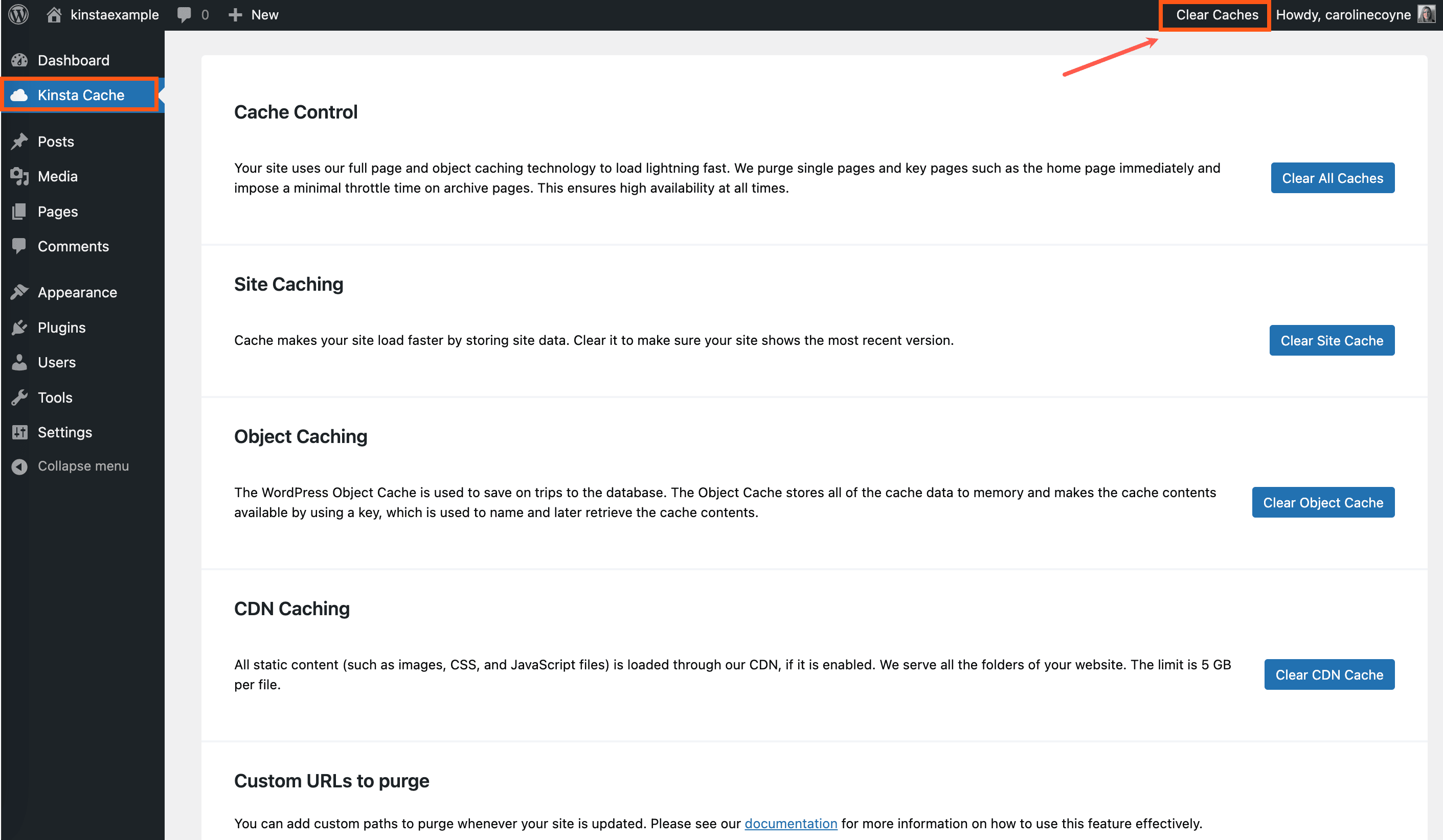 Kinsta Cache plugin (Kinsta MU plugin) in the WordPress dashboard.