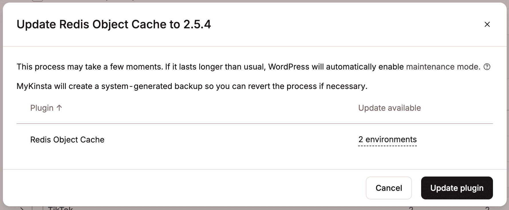 Confirm you want to update the plugin.