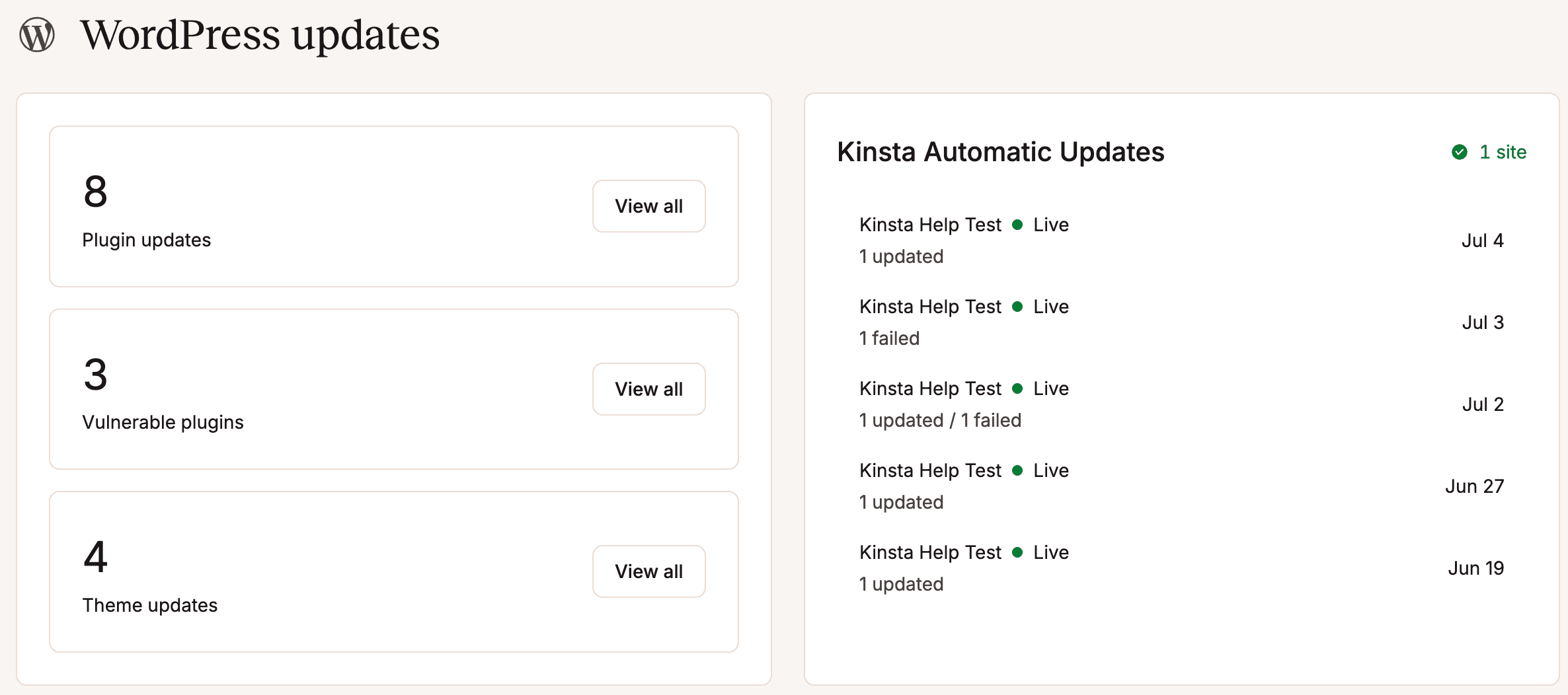 Summary of plugin and theme updates on the Company Dashboard.