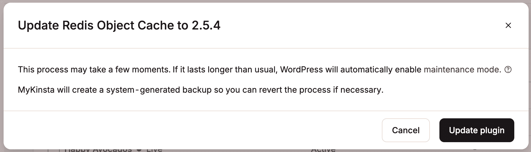 Confirm you want to update the plugin.
