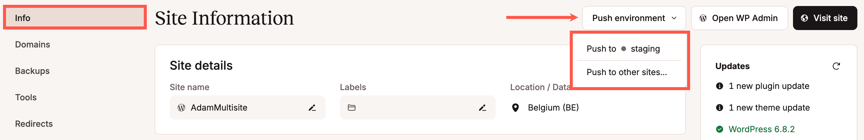 Push an environment in MyKinsta.
