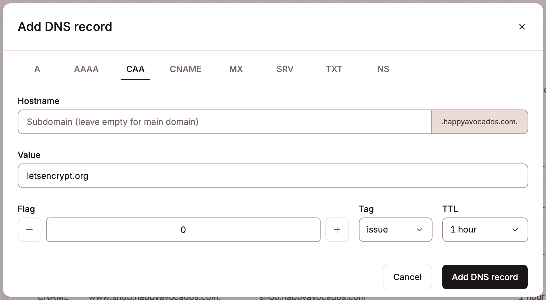 Add a CAA record in Kinsta's DNS.