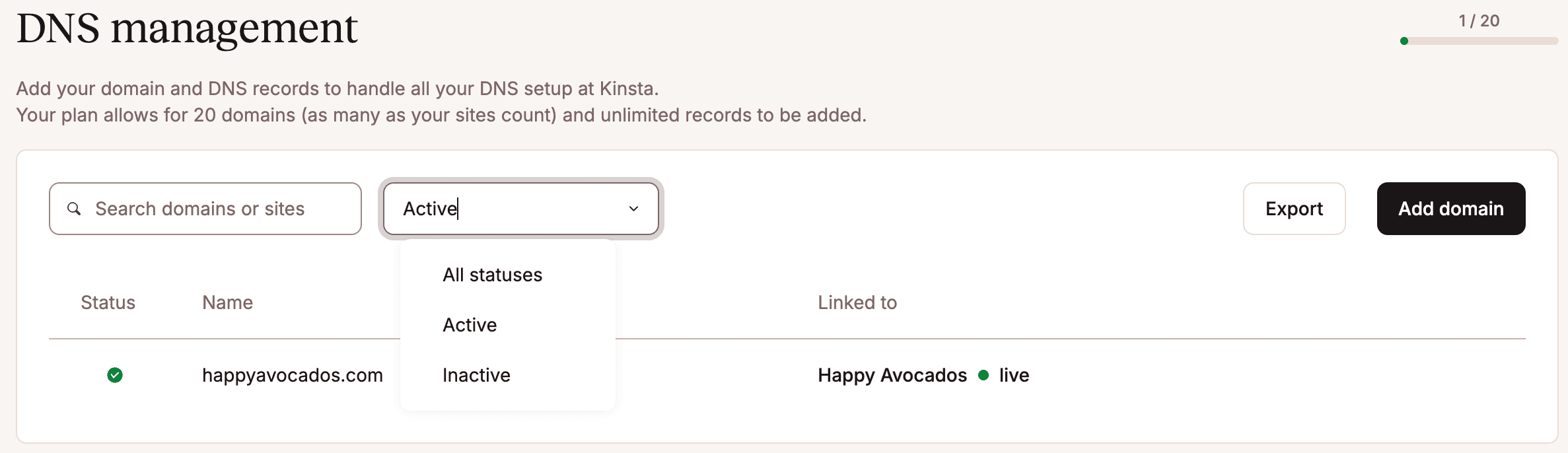 Filter your domains within Kinsta's DNS.