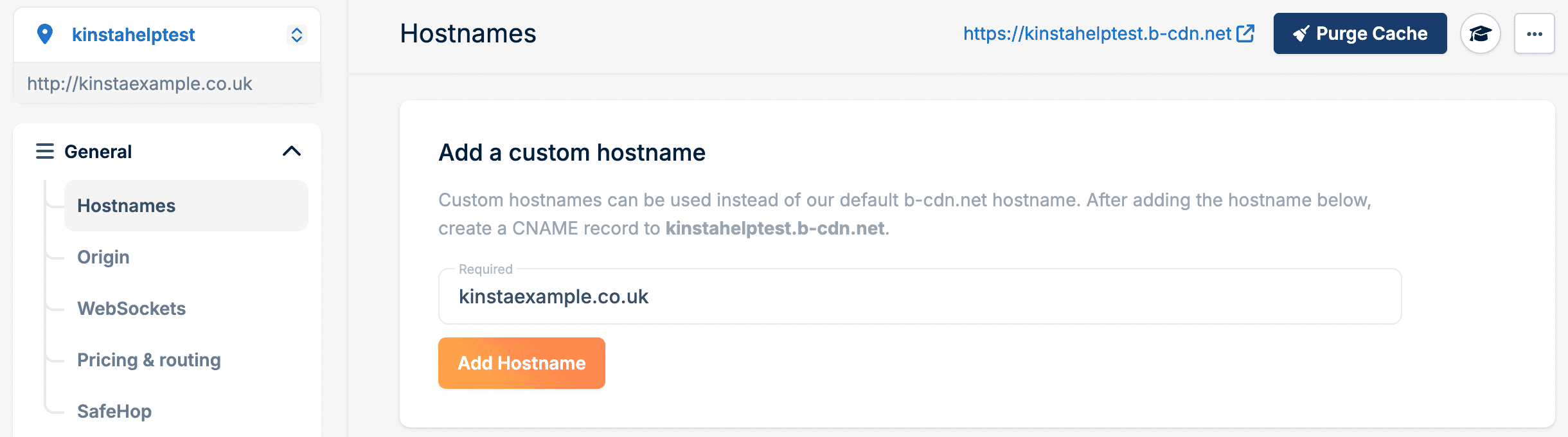Add a custom hostname in Bunny.