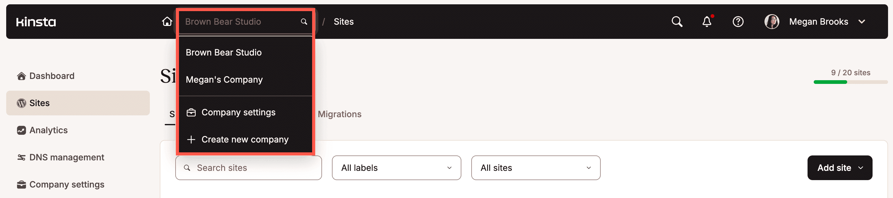 Switch companies in MyKinsta.