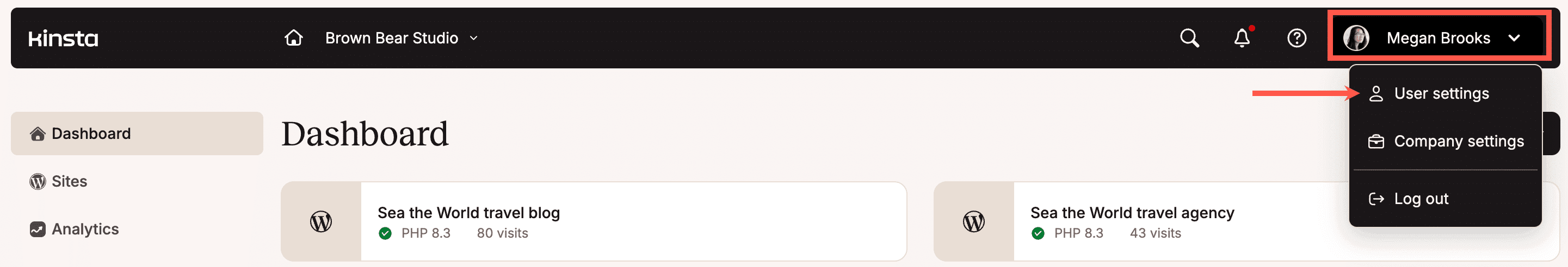 MyKinsta user settings.