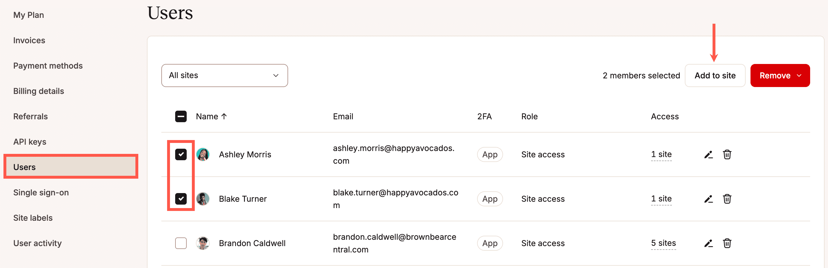 Add multiple users to a site in MyKinsta.