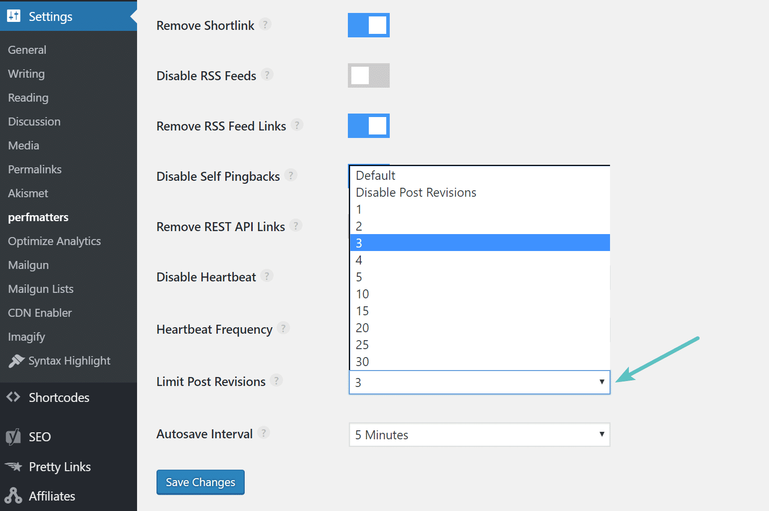 Beschränke die Nachbearbeitung mit dem Perfmatters Plugin