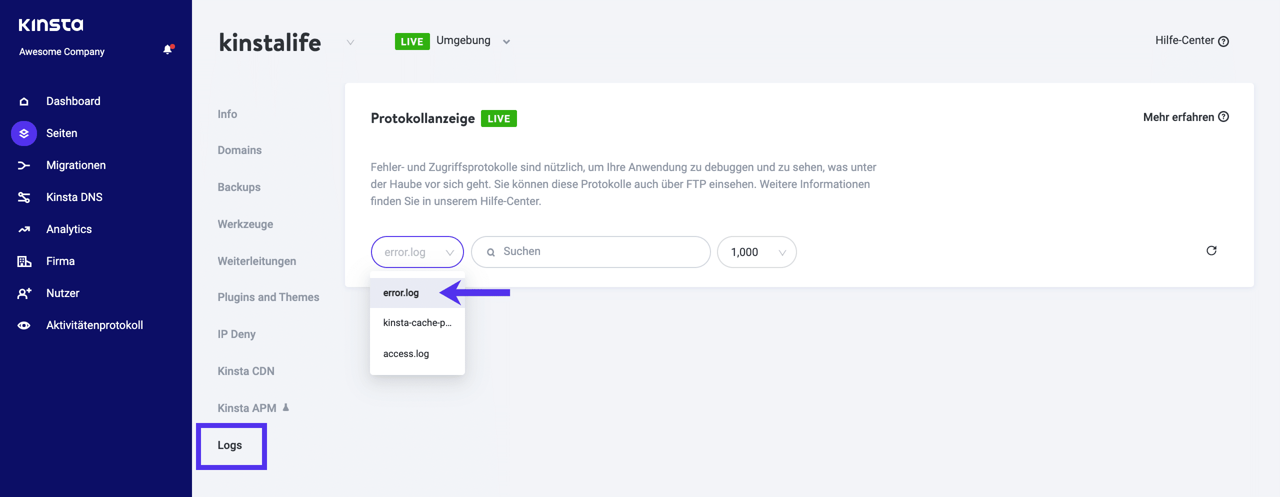 Überprüfung der Fehlerprotokolle im MyKinsta Dashboard