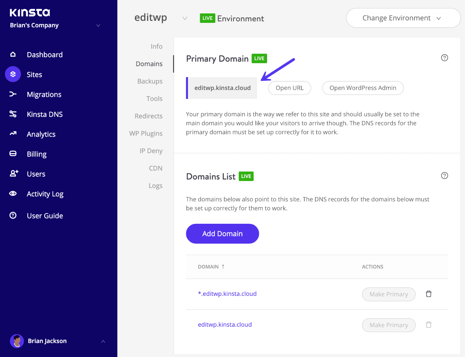 Temporäre Kinsta-URL