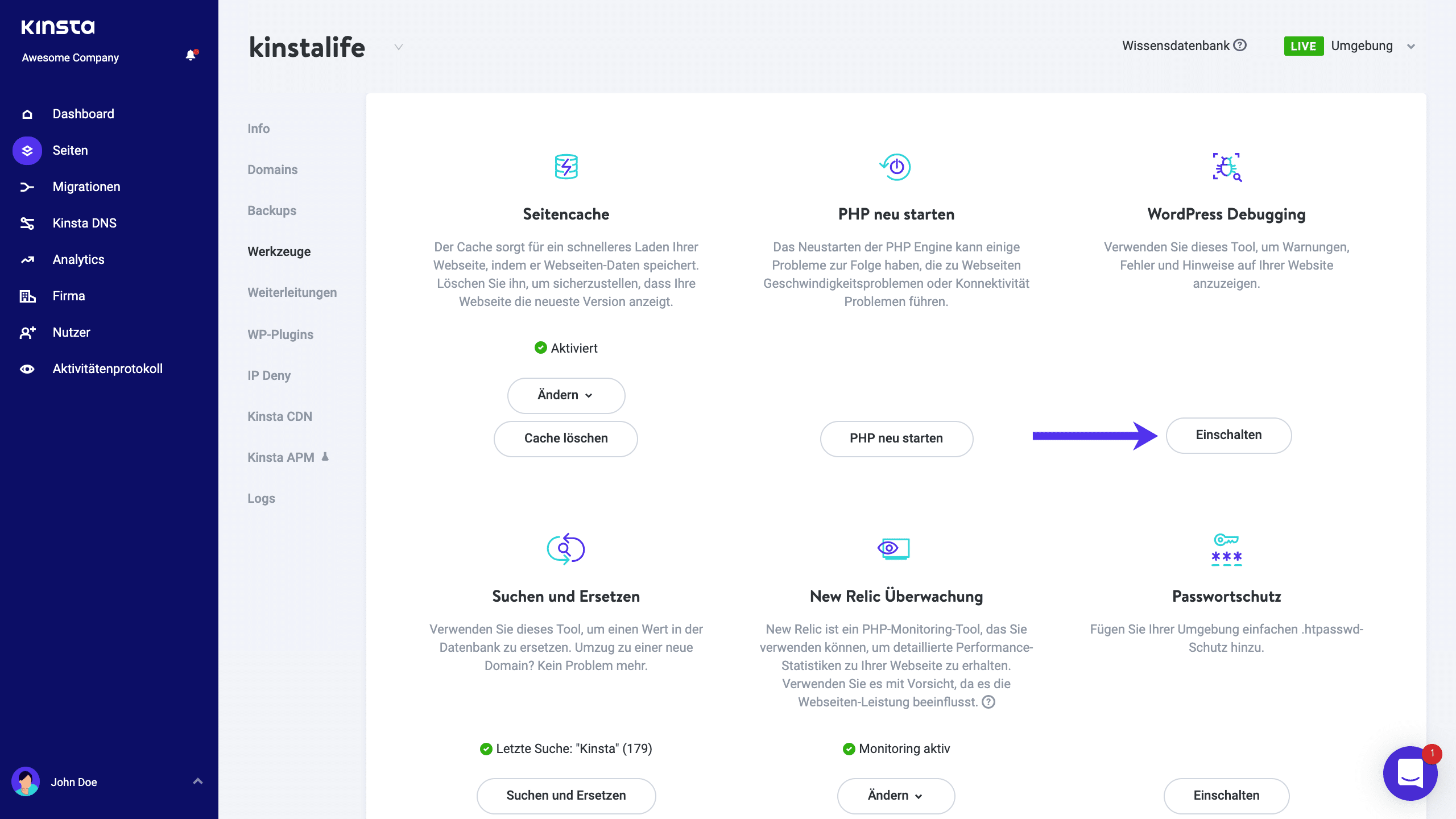 Debug-Modus in MyKinsta aktiviert.