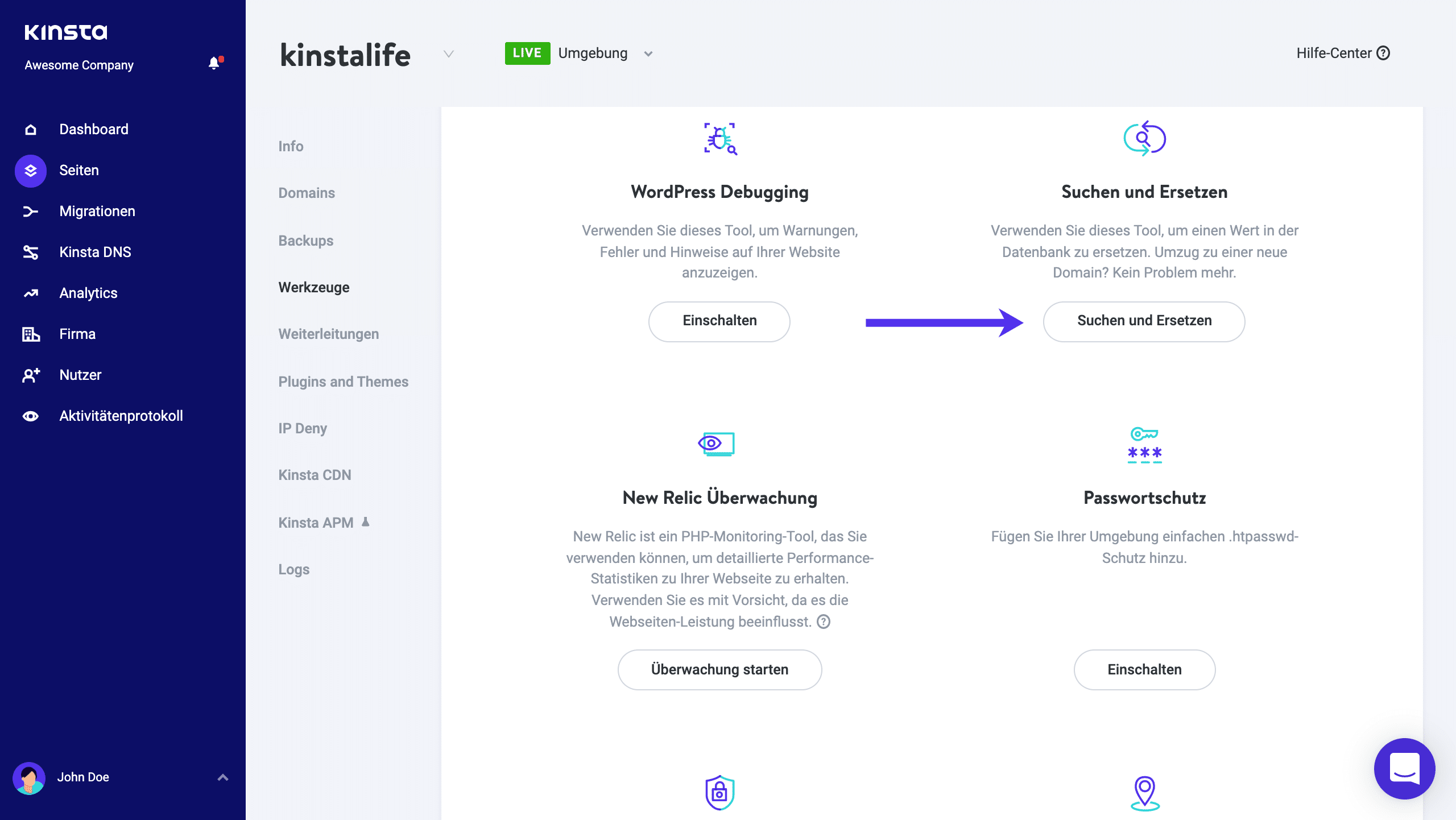 Kinsta Suchen und Ersetzen