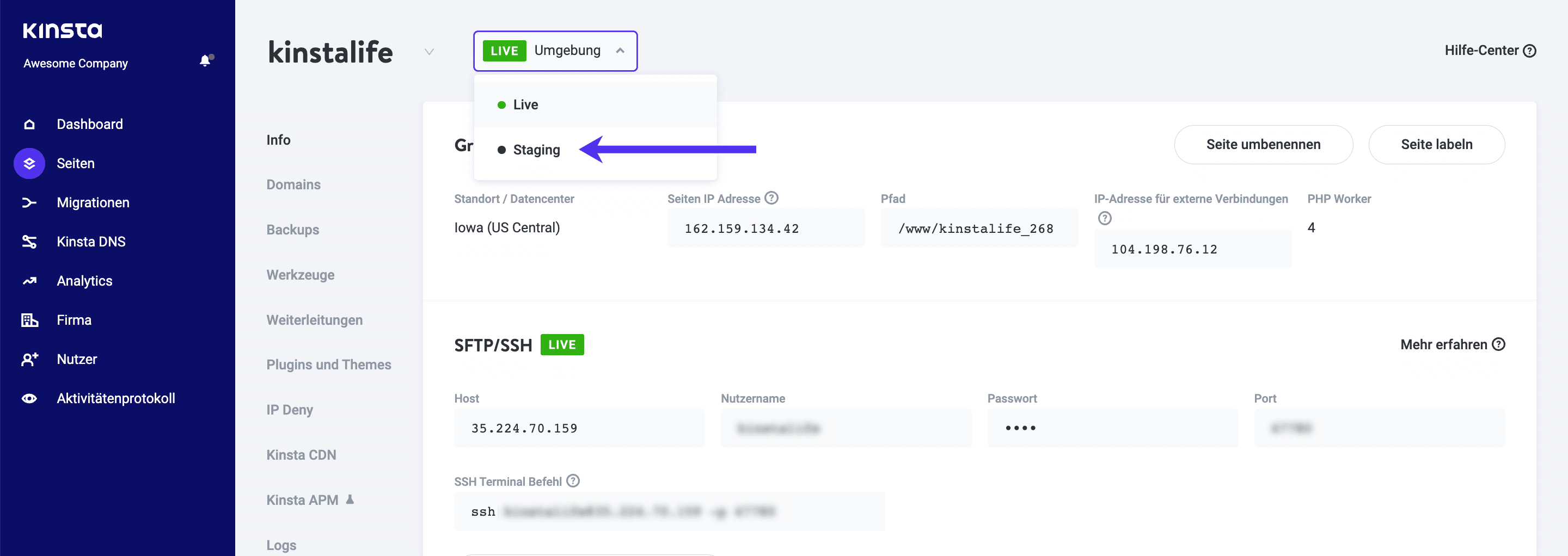 Wechsle in MyKinsta zu deiner WordPress-Staging-Umgebung.