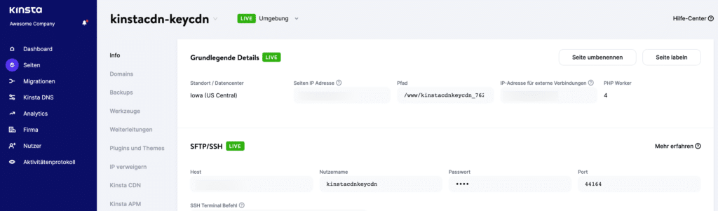 Das MyKinsta-Dashboard zeigt die grundlegenden Details einer Webseite