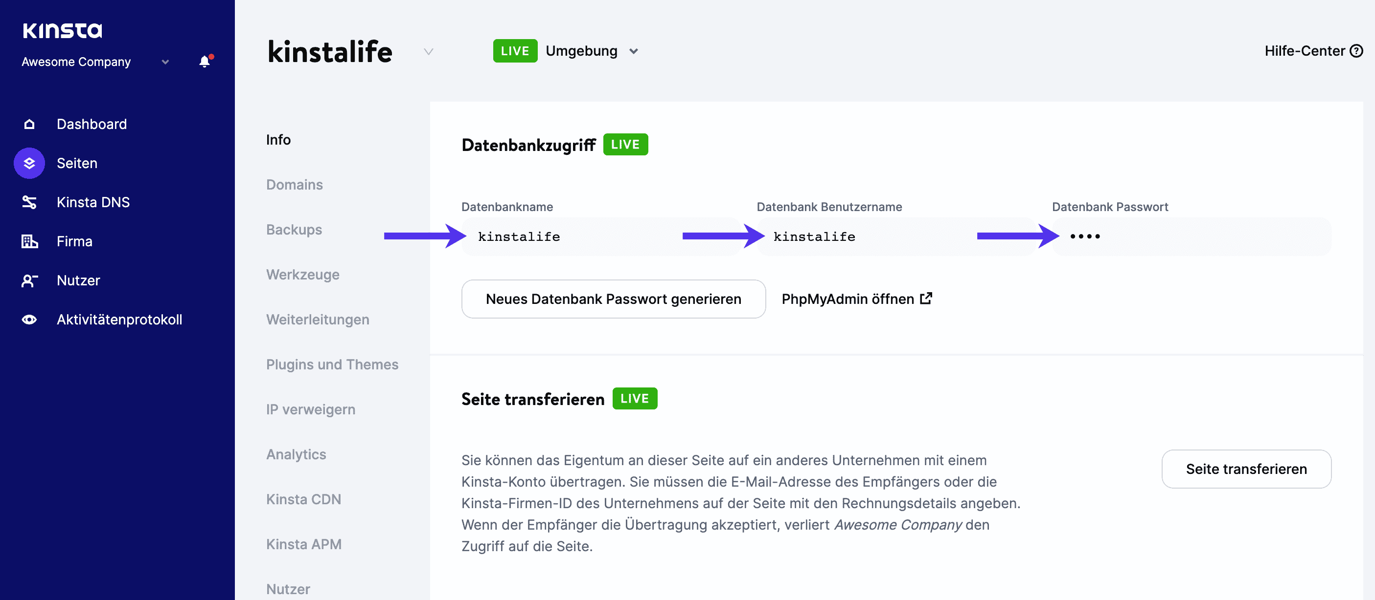 Überprüfen der Datenbank-Anmeldedaten Ihrer Website in MyKinsta.
