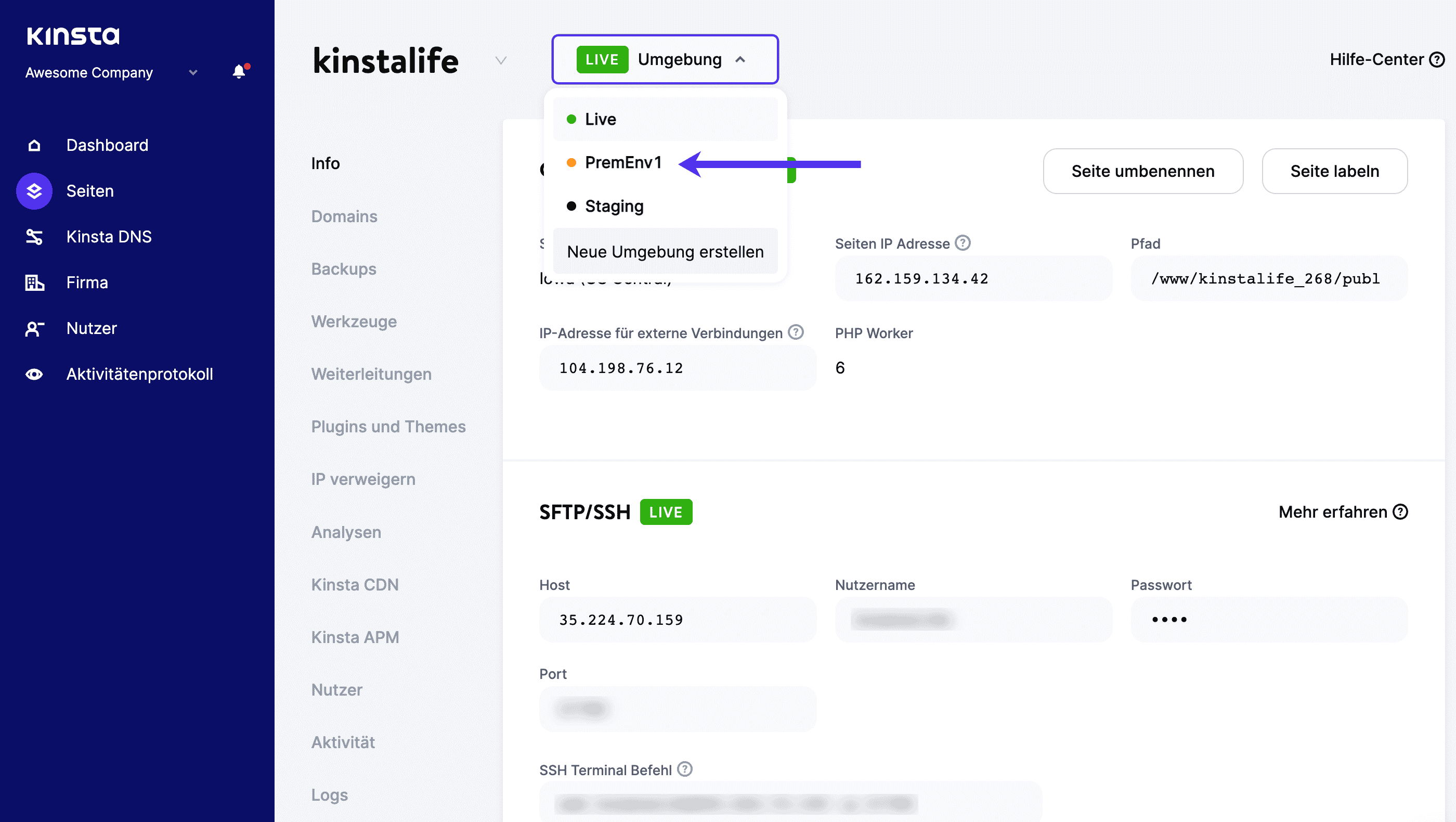 Auswahl einer Premium Staging-Umgebung in MyKinsta.