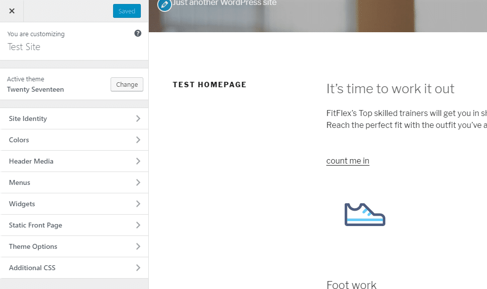 WordPress Theme Customizer
