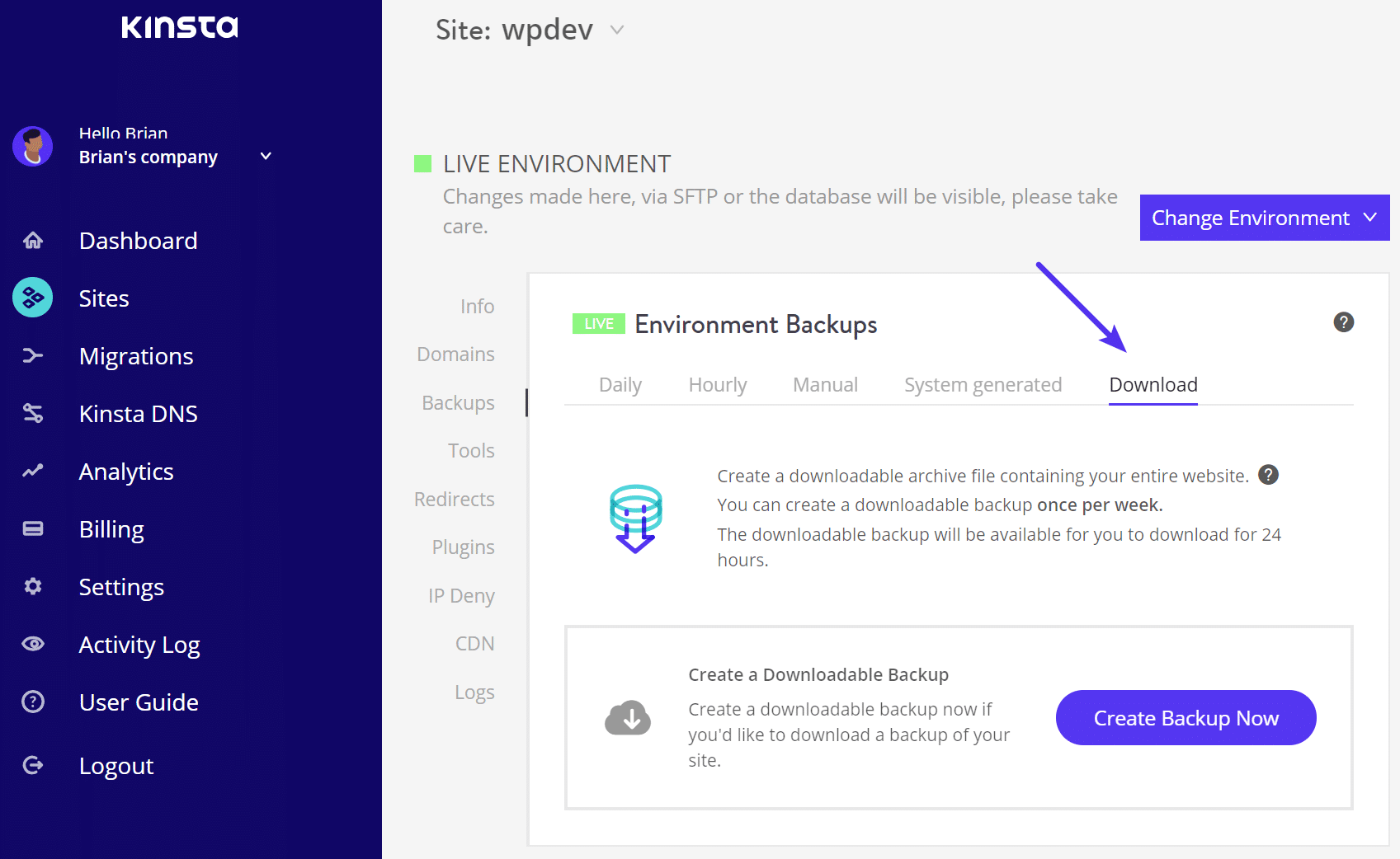 Downloadbare Sikkerhedskopier