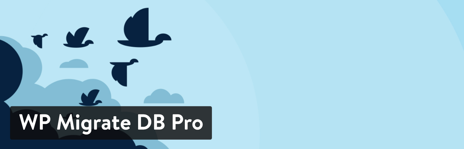 WP Migrate DB Pro-plugin