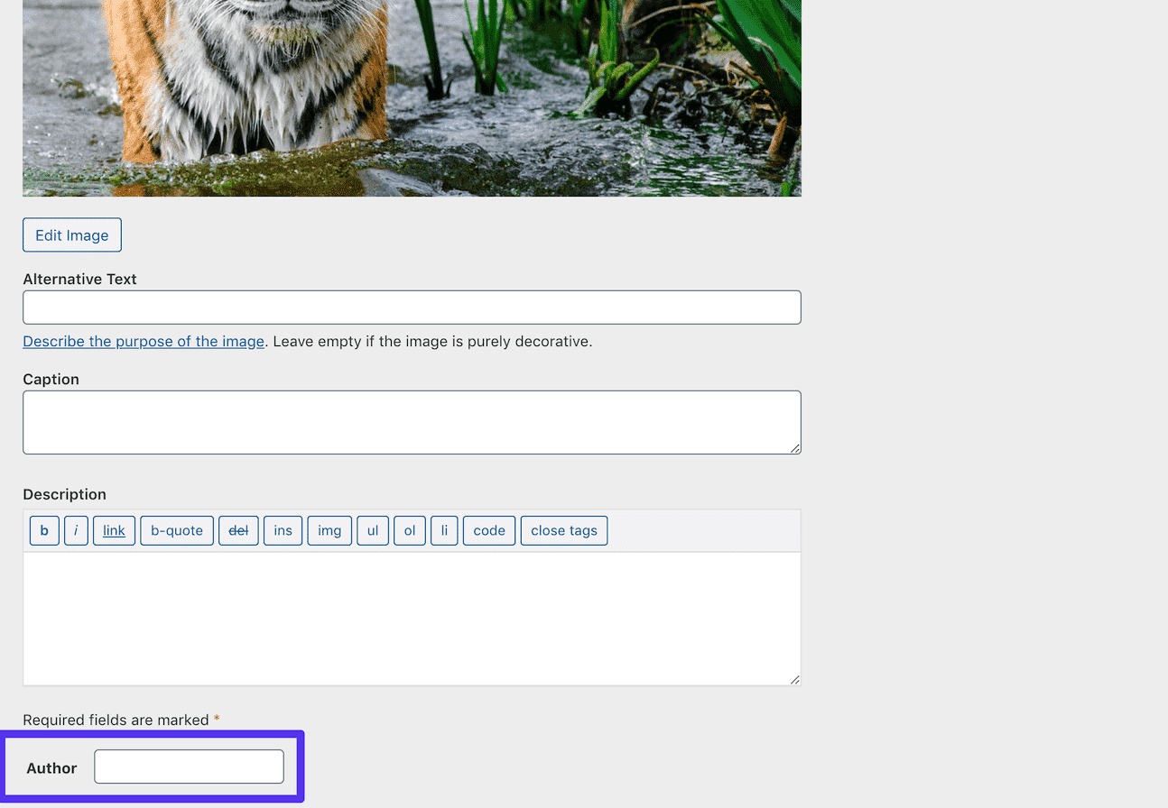 Nuevo campo de metadatos de 