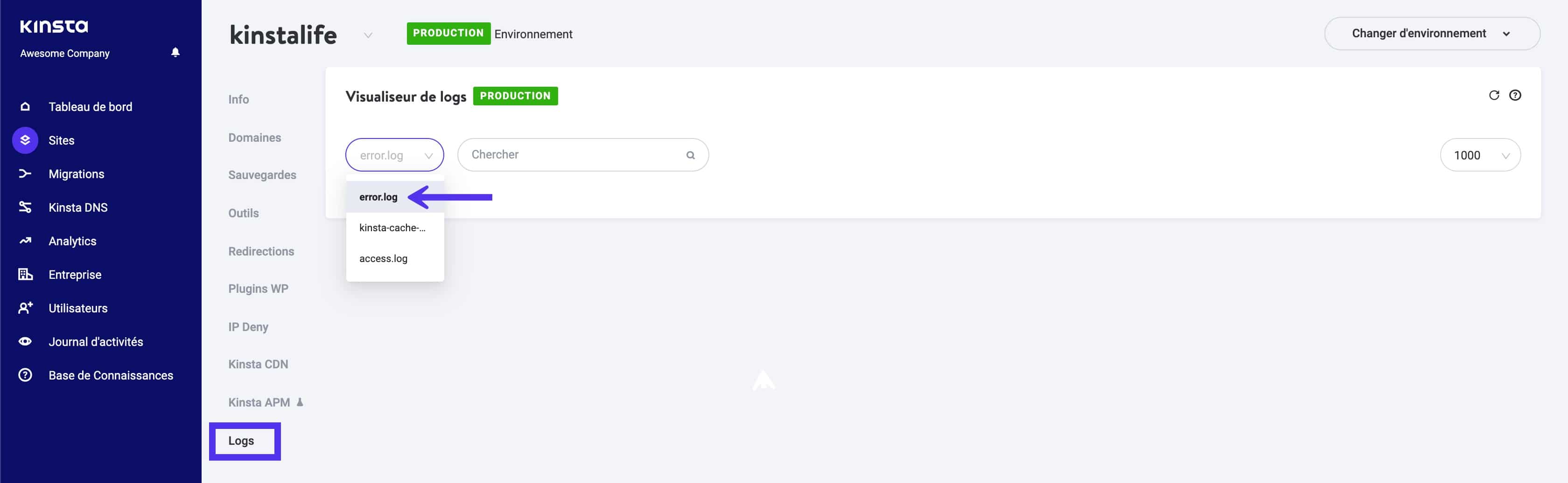 Vérification des journaux d'erreurs dans le tableau de bord MyKinsta