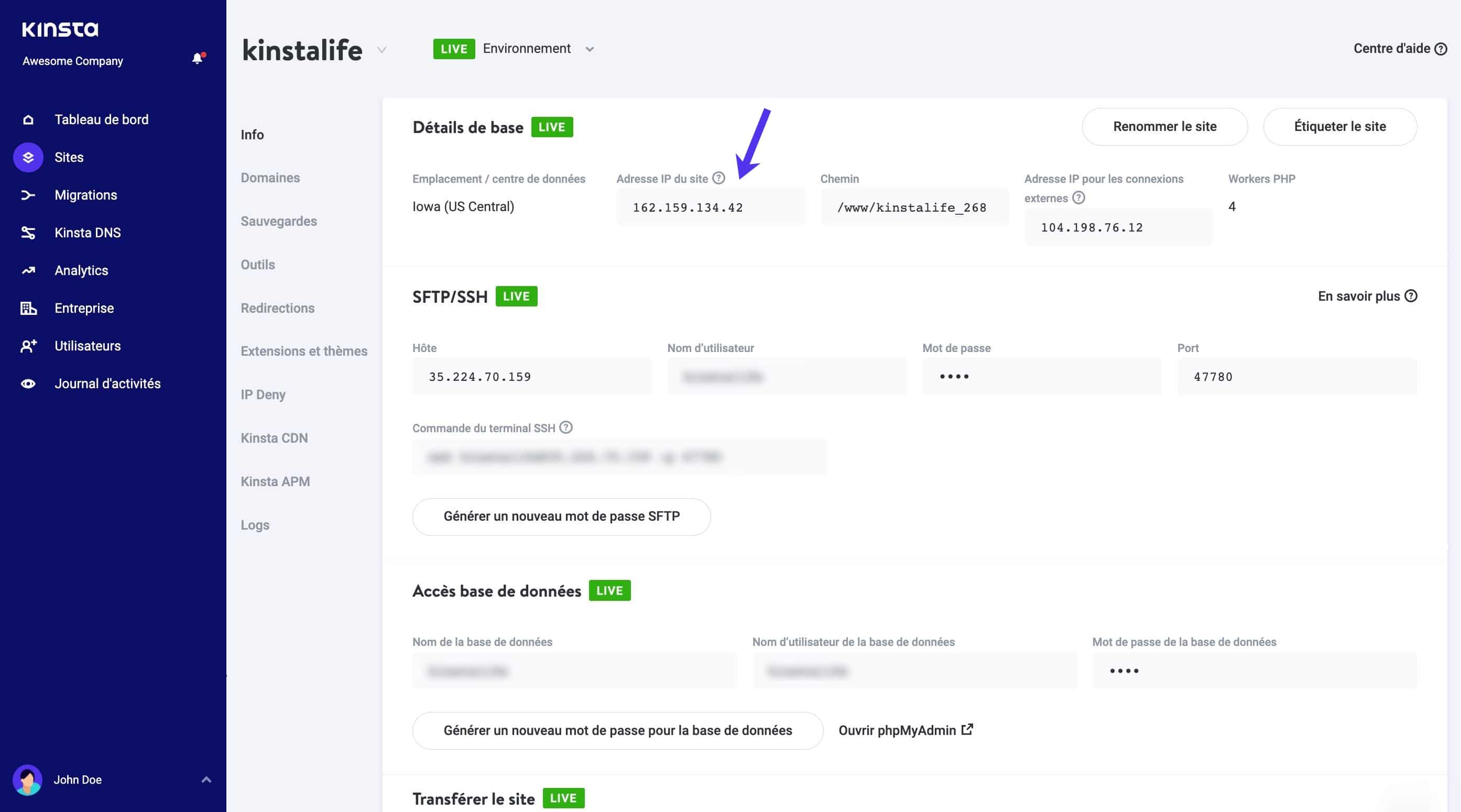 Adresse IPv4 dans MyKinsta