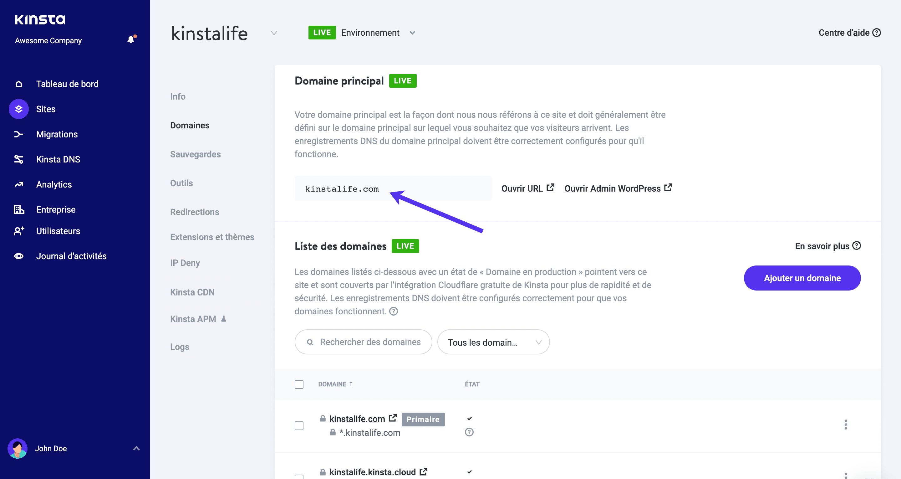 Domaine primaire dans MyKinsta.