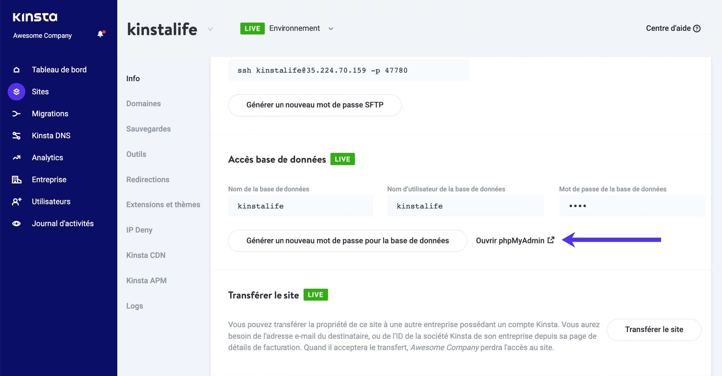 Lien phpMyAdmin dans le tableau de bord MyKinsta