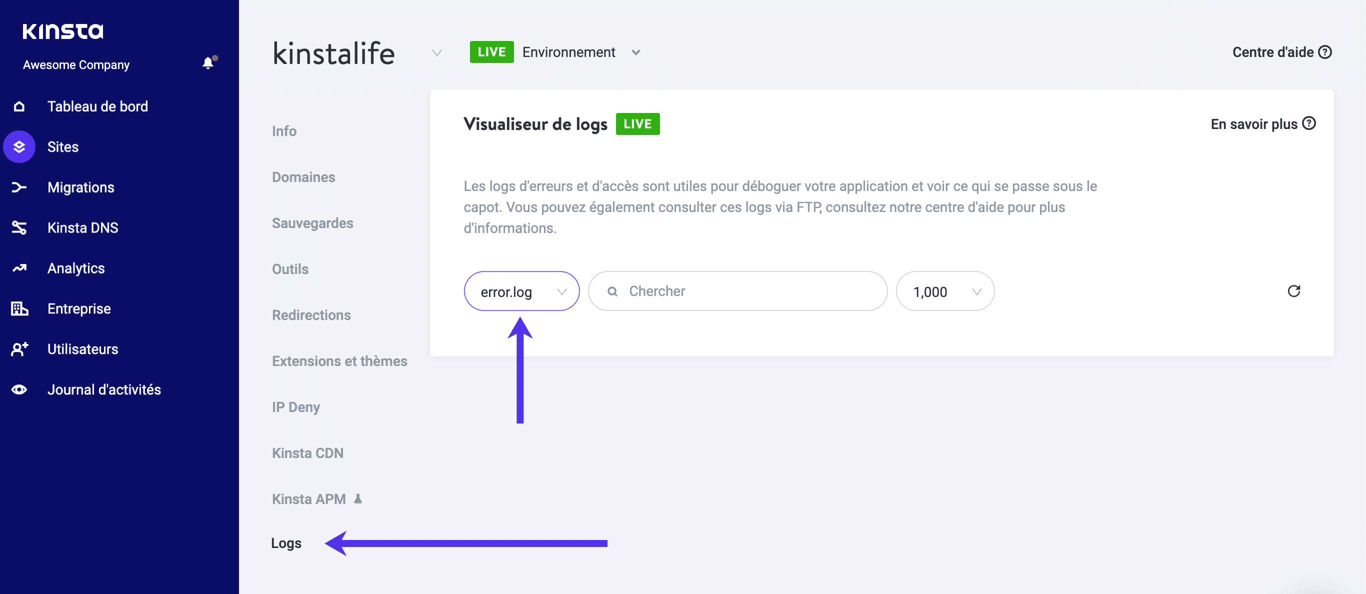 Onglet logs d’activité de MyKinsta