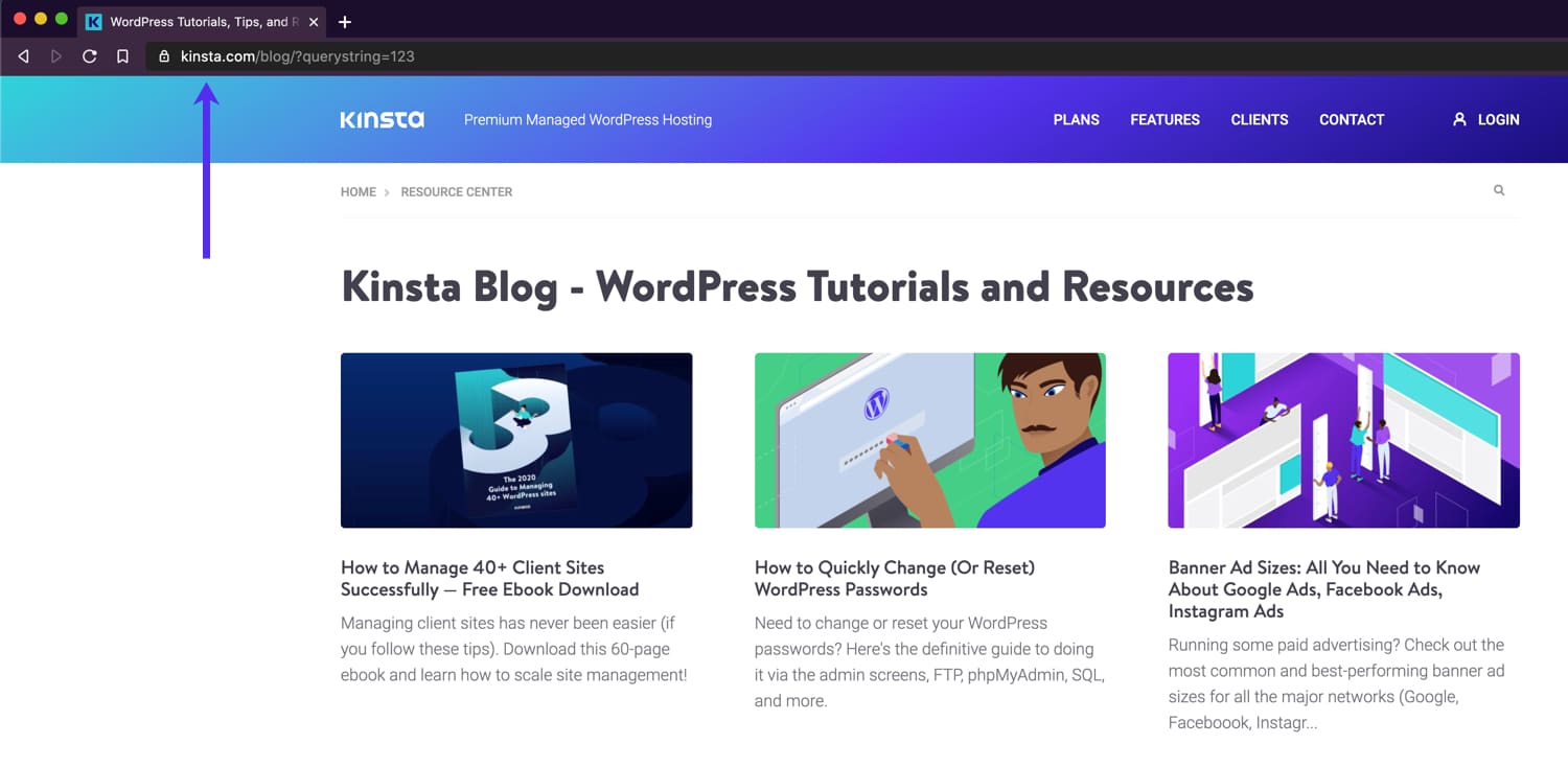 Une URL avec une chaîne de requête (?querystring=123).