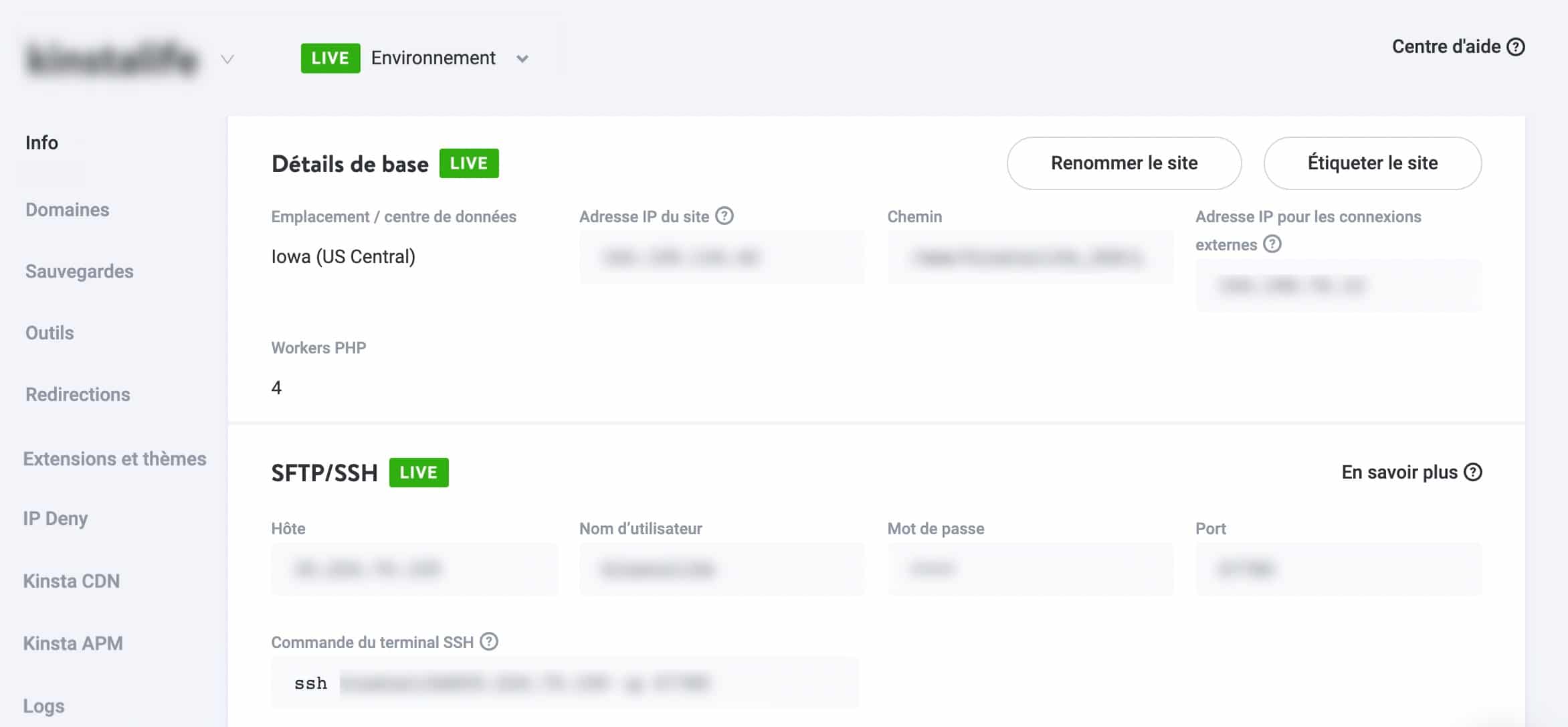 L’onglet « Info » du tableau de bord MyKinsta.