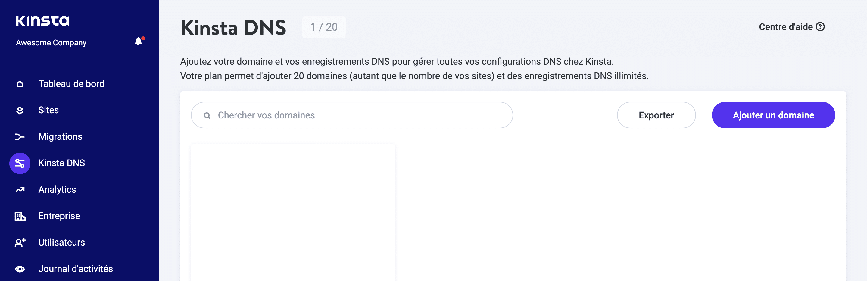 Sélectionnez Kinsta DNS.