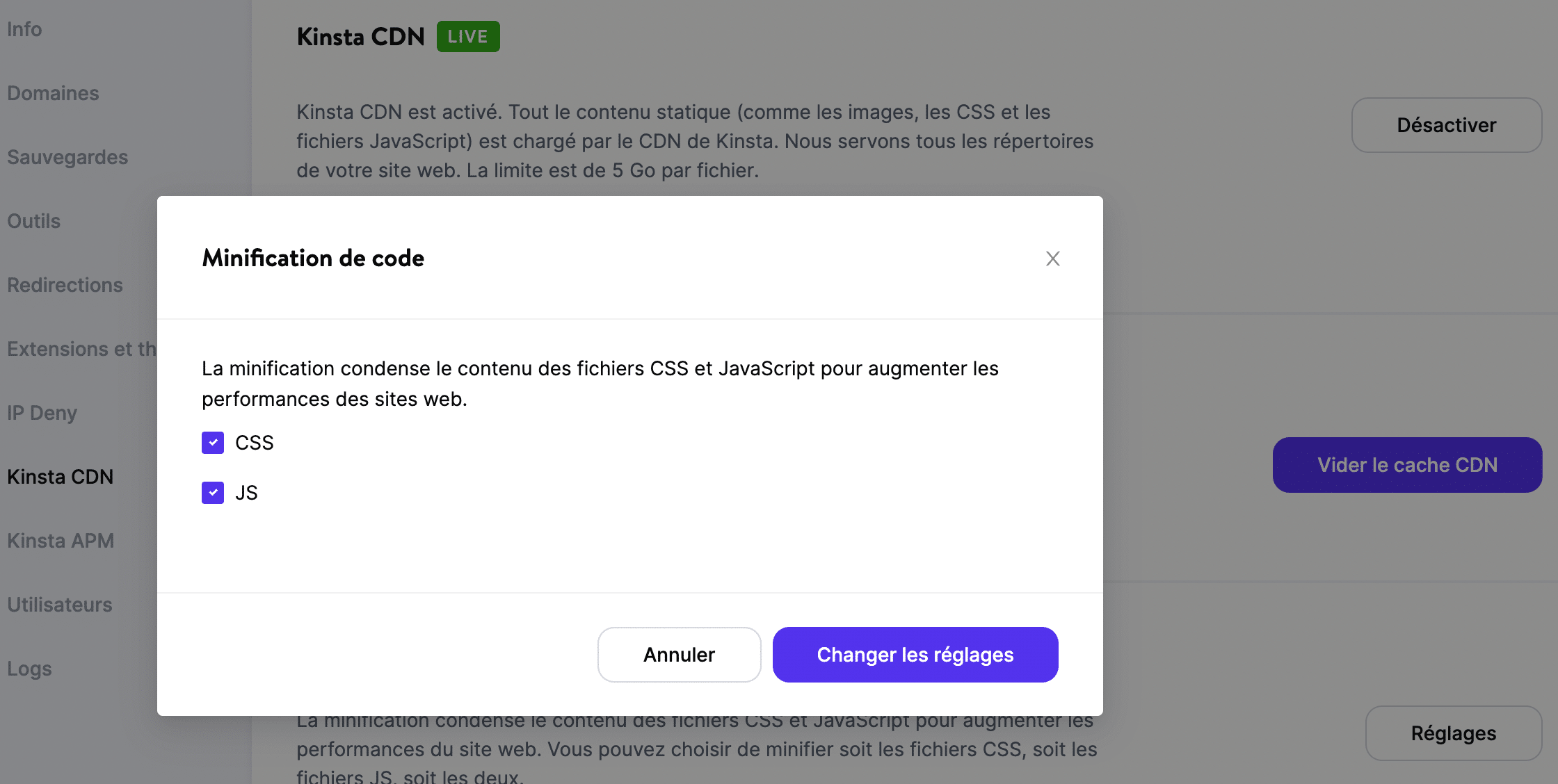 Minification du code dans MyKinsta.